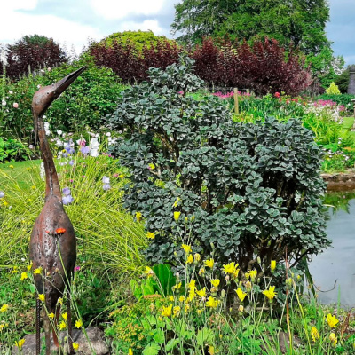 Ива Бойда